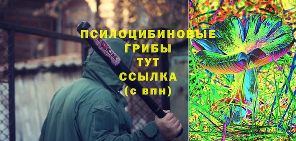 молекула духа Алексеевка
