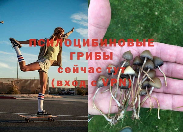 эйфоретик Мегион