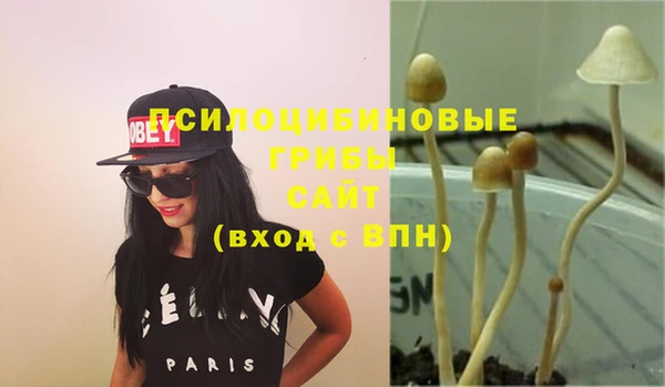 МДПВ Абаза