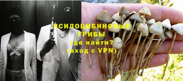 молекула духа Алексеевка