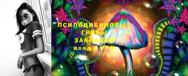 молекула духа Алексеевка