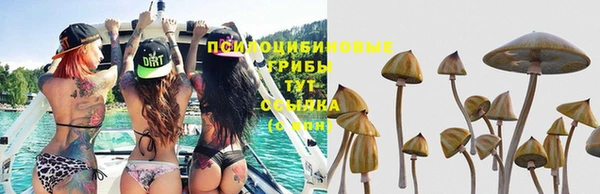 спиды Абдулино