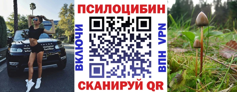 купить закладку  это телеграм  Псилоцибиновые грибы MAGIC MUSHROOMS  Зеленокумск 